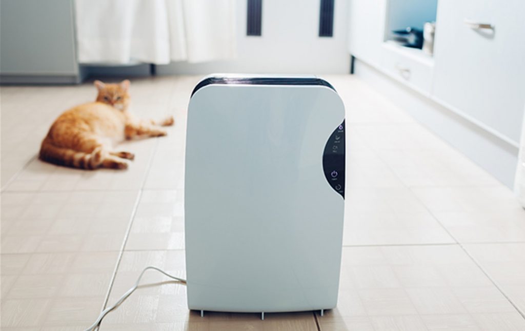 Air Purifier How They Work And What Benefits They Have Good Things