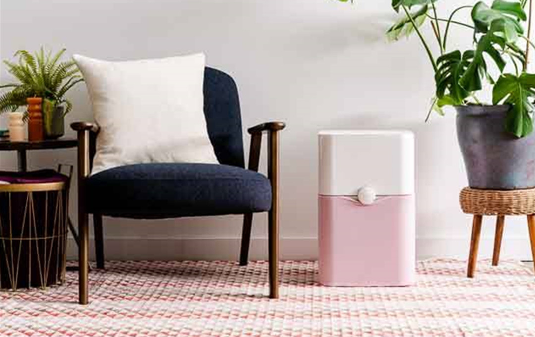Why You Should Buy An Air Purifier For Your Bedroom